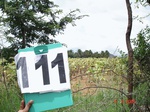 60620111d-irrigated-supplemental-minor-groundwater-onion-groundnut-sunflower-maize-millet.jpg