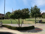 2012-10-02_05-15-27_CIMG0016.JPG