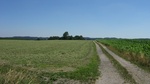 2016-07-25_03-26-56_DSCF1559.JPG