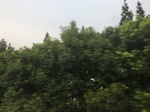 2017-09-12_03-48-38_0BCF2436-81AF-4415-A628-91330C86DDB6.jpg