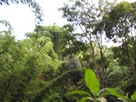 16255IMG_5028.JPG