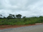 19918P1010768.JPG
