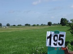 70560195a-irrigated-supplemental-groundwater-rice-dominant-sugarcane.jpg