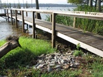 2012-09-10_20-51-36_AR-FK-2-1.JPG