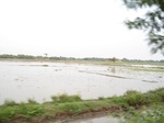 15691IMG_4769.JPG