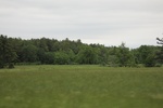 2022-06-11_17-39-05_844C6170-9606-47A8-8EBB-F07A2A06C63F.jpeg