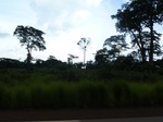 20186P1020038.JPG