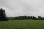 2018-04-14_14-18-45_2017-06-12 06.35.08.jpg