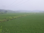 490R0015036.jpg