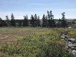 2018-09-04_12-08-51_690DACA1-0317-4EC1-A4A1-D89B9F444C85.jpg