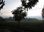 16224IMG_4991.JPG