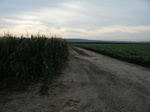 2017-07-10_14-16-20_CoCoRaHS Field Photo Weekend East 7-4-17.JPG