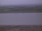 2726 051.jpg