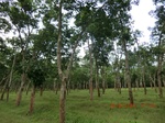 2012-09-26_20-48-43_CIMG1092.JPG