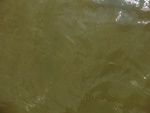 58087CIMG2381.JPG