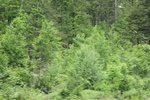 2022-06-11_17-54-42_E53B287D-90B8-45AA-A5FA-75F14A1D06A5.jpeg