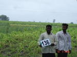 68710136c-irrigated-supplemental-major-lift-irrigation.jpg