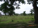 8913nigeria 125.jpg
