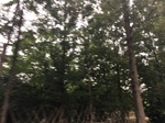 2017-09-10_08-35-57_23D68D5F-A854-434D-A250-76F3ADF24C59.jpg