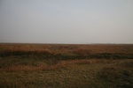 4530IMG_8884.JPG