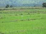 2012-09-07_10-03-45_CIMG6635.JPG