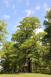 2018-04-14_13-22-52_2017-06-05 06.22.28.jpg