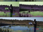 10992gt-202-wetland-flood-plain-02.jpg