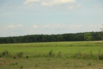2022-06-11_15-55-28_B7D4AA78-5AB1-44EC-8F20-9677A2C1C082.jpeg