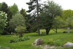 2017-06-05_14-50-16_WEST 5.29.17.jpg