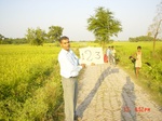 11331gt123-cropland-1.jpg