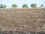 480302052008(102).JPG