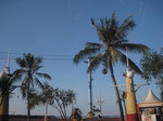 14865IMG_5258.JPG