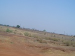 478501052008(57).JPG