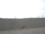2017-02-22_17-02-28_Feb17-024-TN.jpg