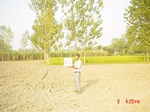 6563gt060-cropland-2.jpg