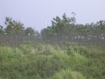 546R0015092.jpg