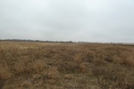 40372P1010979.JPG