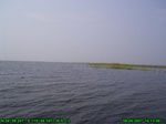 1482R0015190_tag.jpg