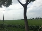 2017-09-12_12-31-55_A4BF502B-35FC-4B1E-BE2C-84D302451F34.jpg