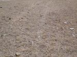 2012-09-10_21-13-32_WY-CV-11-2.JPG