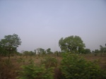 3829RIMG0133.JPG