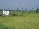 74640320c-irrigated-canal-rice.jpg