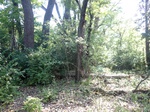 2020-11-19_10-05-32_P8260067_P2_C2.JPG