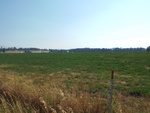 2017-09-02_17-10-22_DSCF2959.JPG