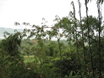16249IMG_5022.JPG