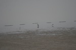 4132IMG_8769.JPG