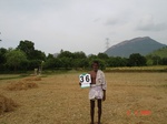 6198036c-irrigated-supplemental-groundwater-rice-groundnut-curryleaves-vegetables-orchards-doublecrop.jpg