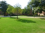 2012-09-24_21-08-59_CIMG0019.JPG