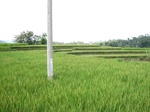 13752IMG_4013.JPG