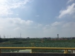 2017-09-12_13-29-48_BF459356-05C5-401A-A2D8-E6E7A62AE9C3.jpg